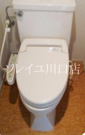 Toilet. Happy with hot water wash
