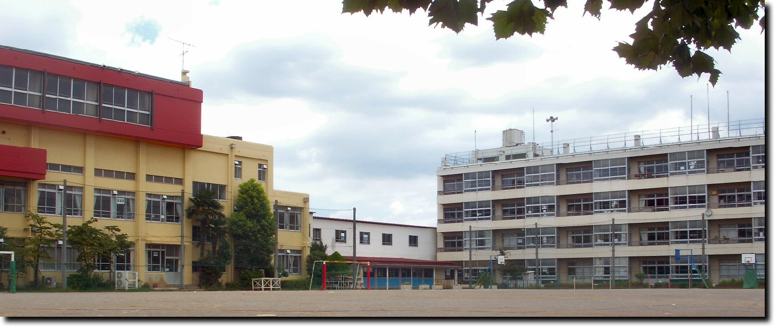 Primary school. 503m until Kawaguchi Municipal Shibahinotsume elementary school (elementary school)