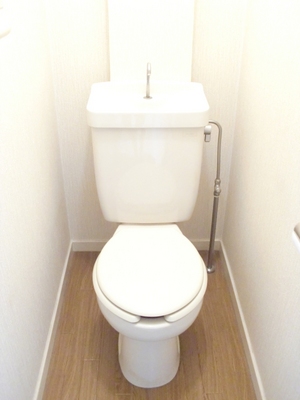 Toilet. Bathroom