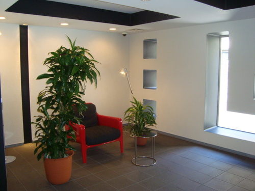 Living and room