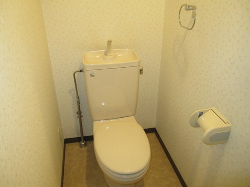 Toilet. Toilet