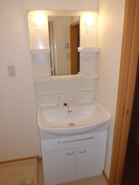 Washroom. Grooming check in the busy morning shampoo dresser also