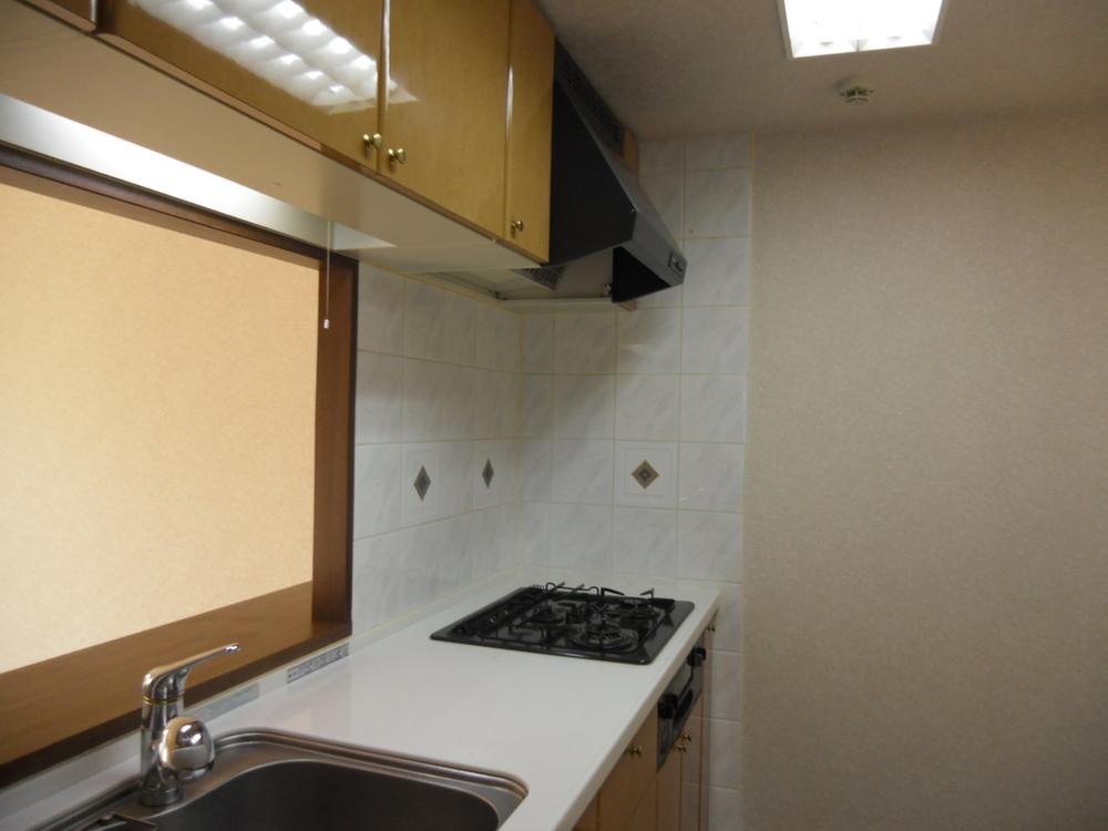 Kitchen. Indoor (11 May 2013) Shooting