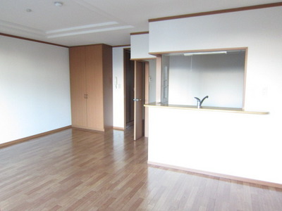 Living and room. Stylish face-to-face kitchen