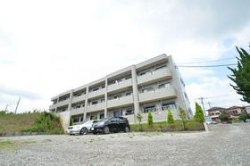 Building appearance