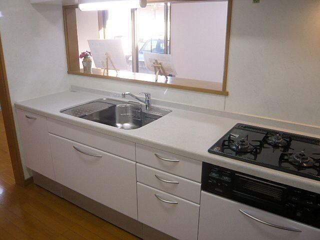 Kitchen. Bright kitchen.