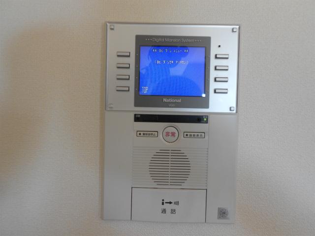 Other. Auto-lock system with a TV monitor