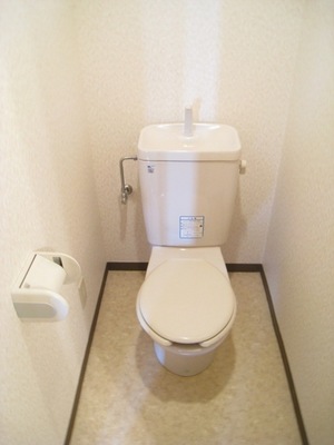 Toilet. Toilet with cleanliness