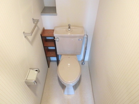 Toilet. Toilet