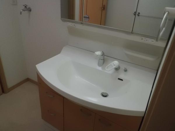 Wash basin, toilet. Wash basin with a shower of big success in the morning of the dressing