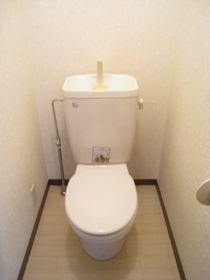 Toilet. Bathroom