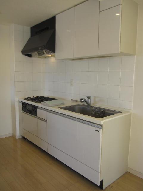 Kitchen. Indoor (January 2013) Shooting