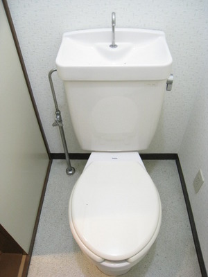 Toilet. Bathroom