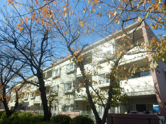 Building appearance