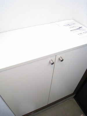 Entrance. Shoes BOX