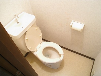 Toilet. Bathroom