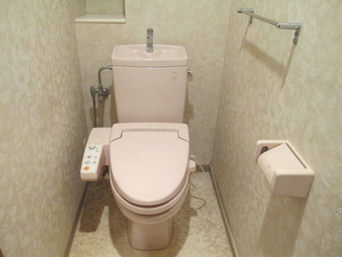Toilet. Toilet