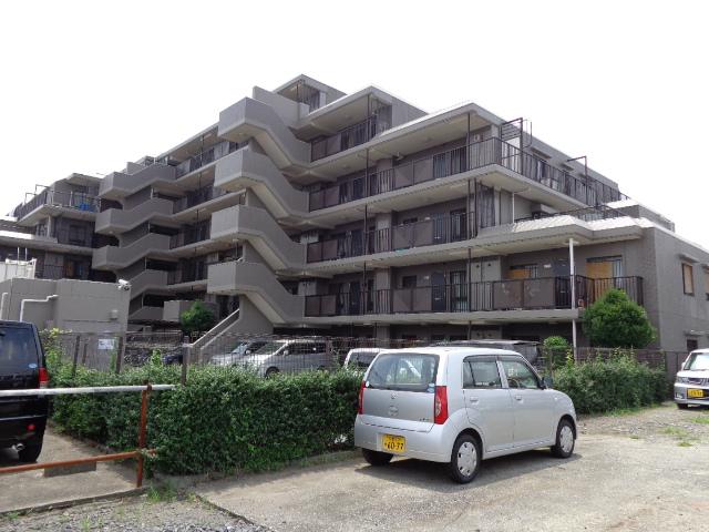 Local appearance photo. Local (July 2013) Shooting