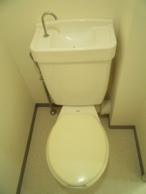 Toilet. Toilet