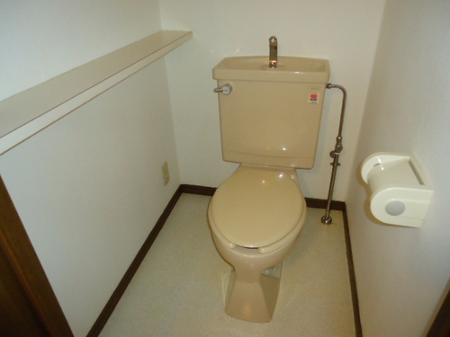 Toilet. Toilet