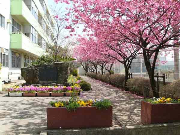Junior high school. 1082m until Kawaguchi Municipal lay Junior High School