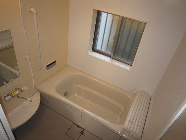 Bathroom. Indoor (11 May 2013) Shooting