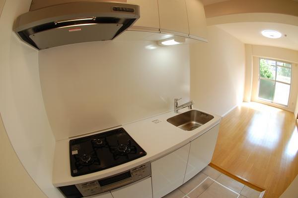 Kitchen. Water purifier built-in system kitchen