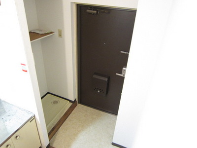 Entrance. Washing machine in the room