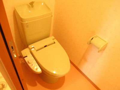 Toilet. Toilet