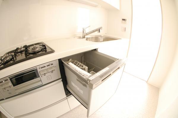 Kitchen. Dishwasher built-in system kitchen