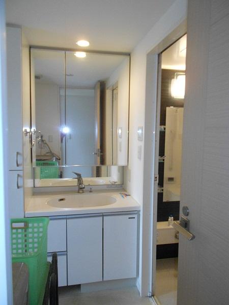 Wash basin, toilet. 2013 August shooting