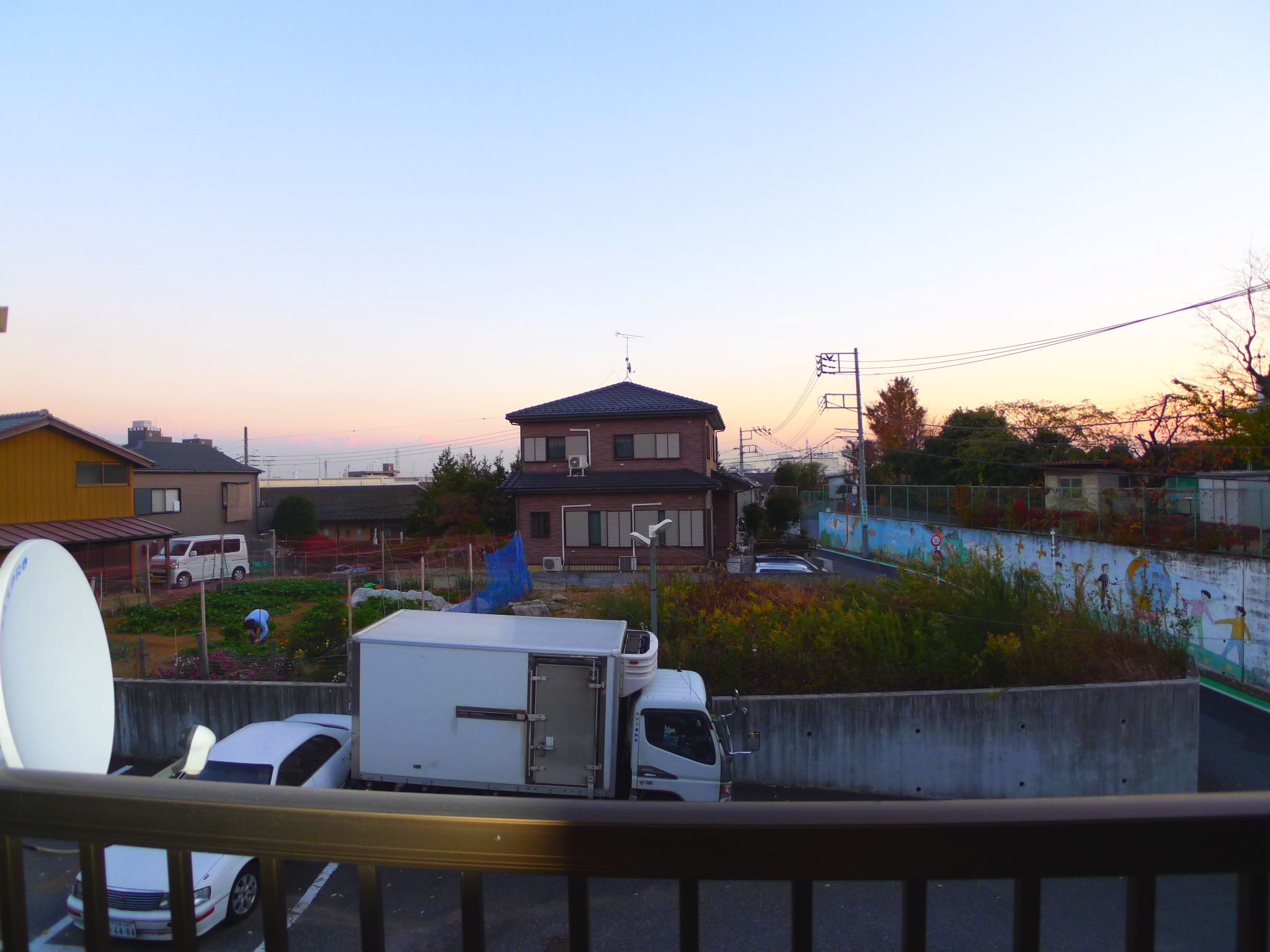View