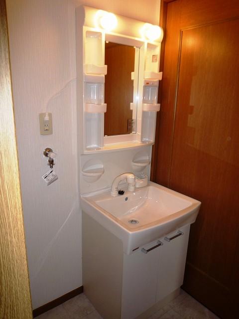 Wash basin, toilet. With shampoo dresser