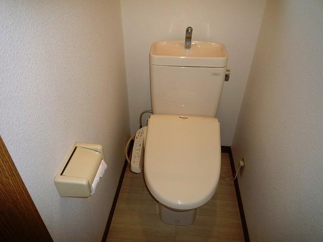 Toilet. With cleaning toilet seat