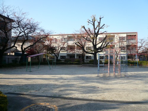 Other