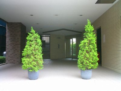 Other common areas