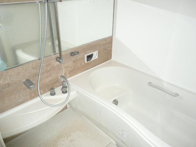 Bathroom. Indoor (10 May 2013) Shooting