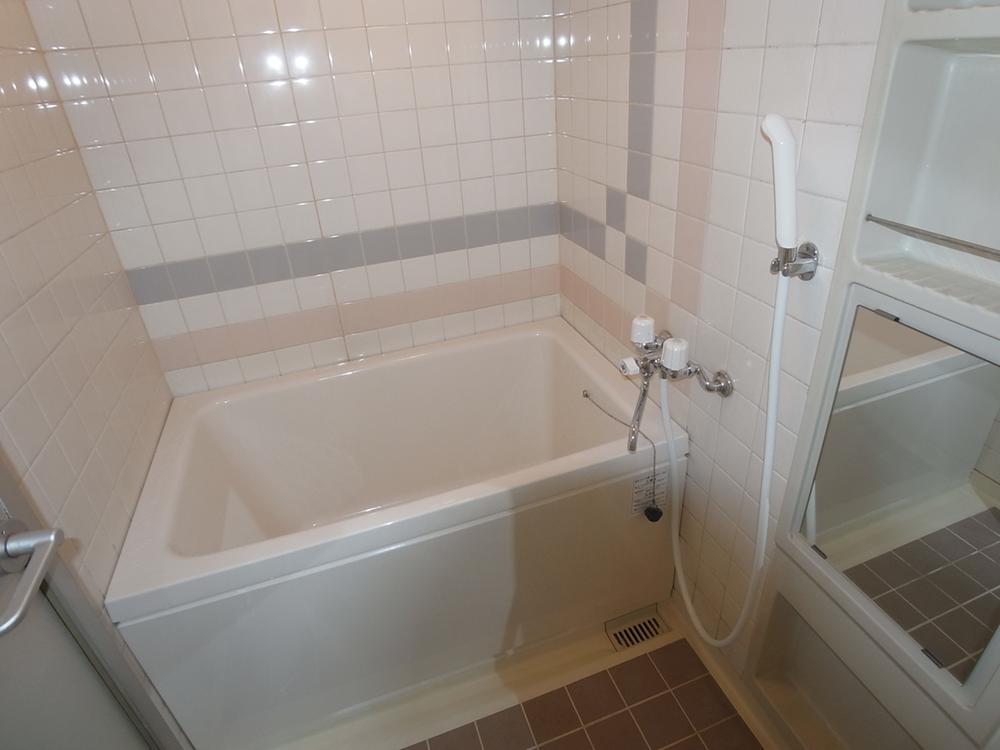 Bathroom. Bathroom photo (bath exchange, Mirror exchange, Washing bracket exchange, House cleaning) / (December 2013) Shooting