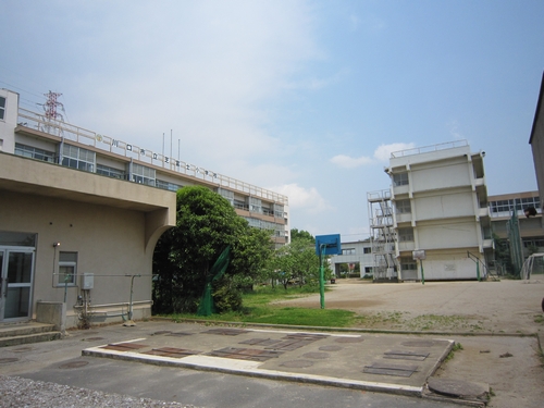 Primary school. Shibafuji up to elementary school (elementary school) 232m