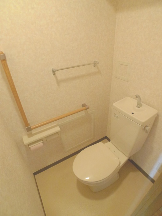Toilet