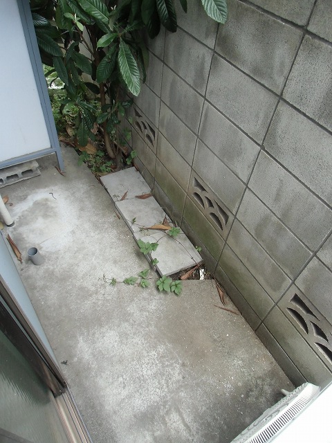 Balcony. Veranda