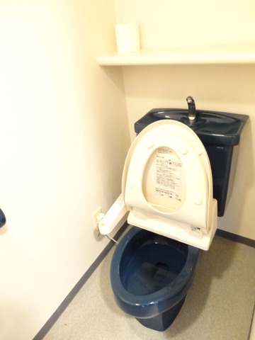 Toilet. Toilet
