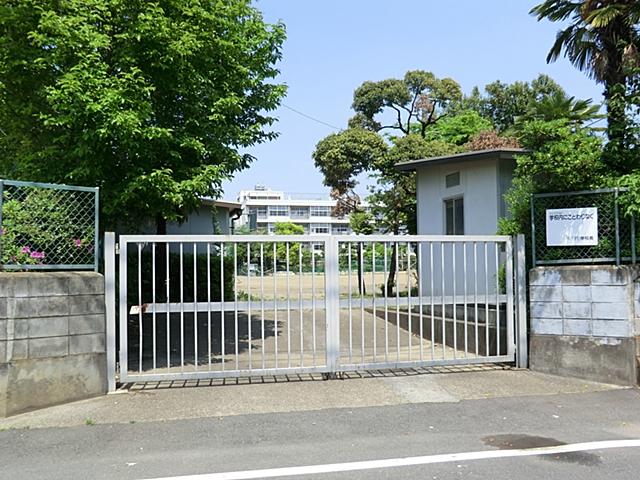Junior high school. 1010m until Kawaguchi City Kishikawa junior high school