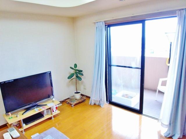 Living. Indoor (January 2014) Shooting