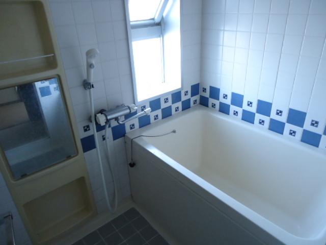 Bathroom. 2013 October shooting