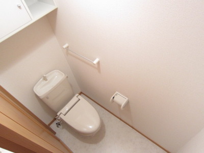 Toilet. There is accommodated in the upper part