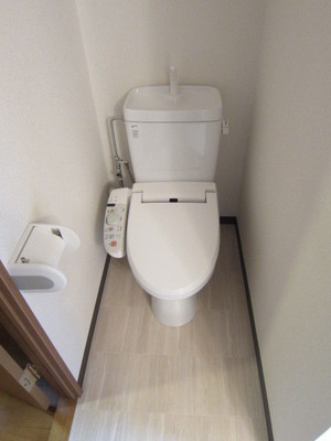 Toilet. Bidet with toilet