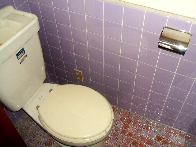 Toilet