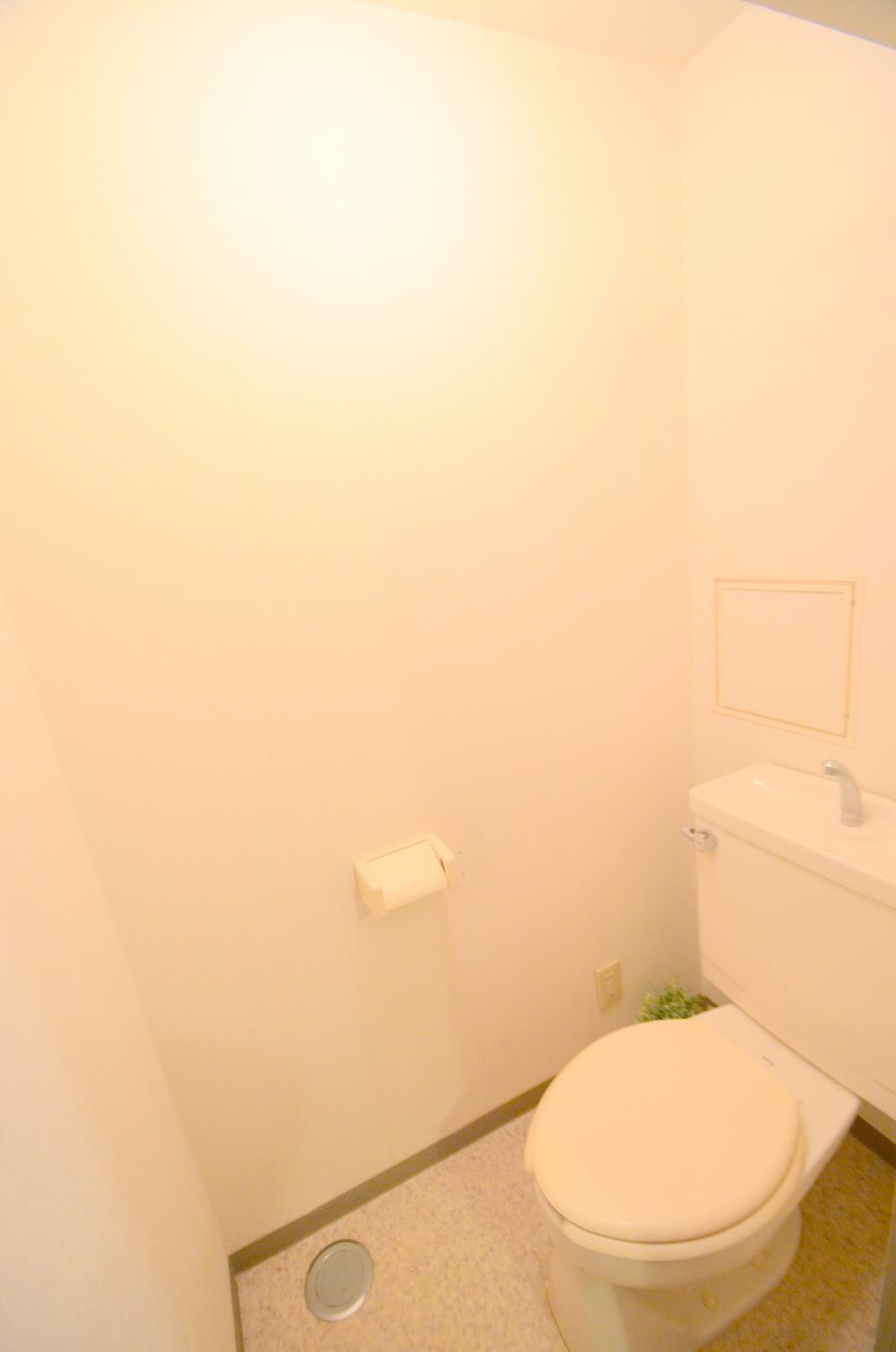 Toilet. Interior