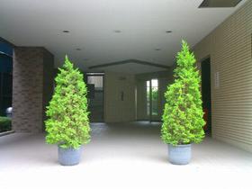 Building appearance